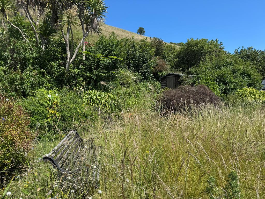 Lot: 147 - COTTAGE FOR IMPROVEMENT WITH SEA VIEWS - The Garden Looking Towards St Boniface Down